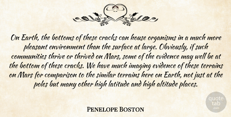 Penelope Boston Quote About Altitude, Bottoms, Comparison, Cracks, Environment: On Earth The Bottoms Of...