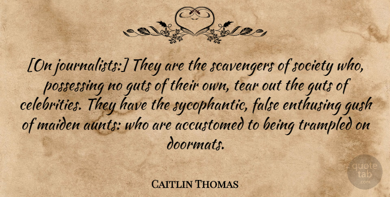 Caitlin Thomas Quote About Aunt, Tears, Journalism: On Journalists They Are The...