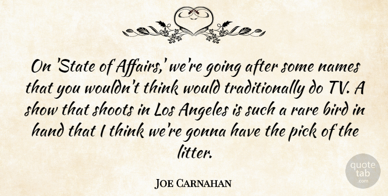 Joe Carnahan Quote About Angeles, Gonna, Los, Names, Pick: On State Of Affairs Were...