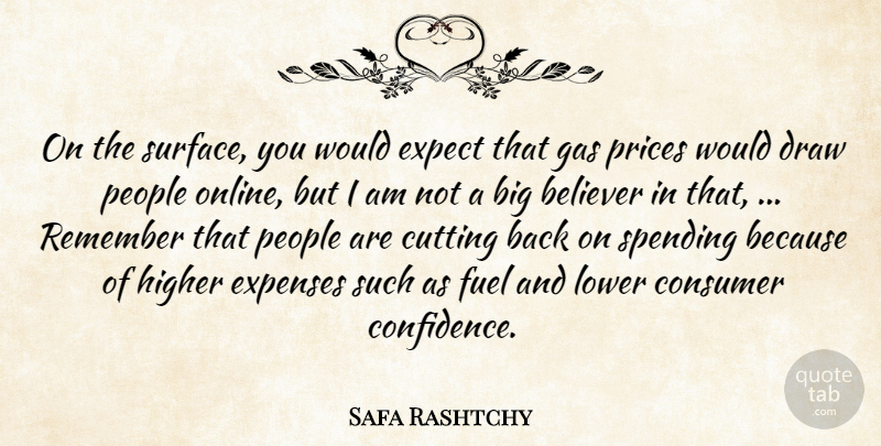 Safa Rashtchy Quote About Believer, Consumer, Cutting, Draw, Expect: On The Surface You Would...