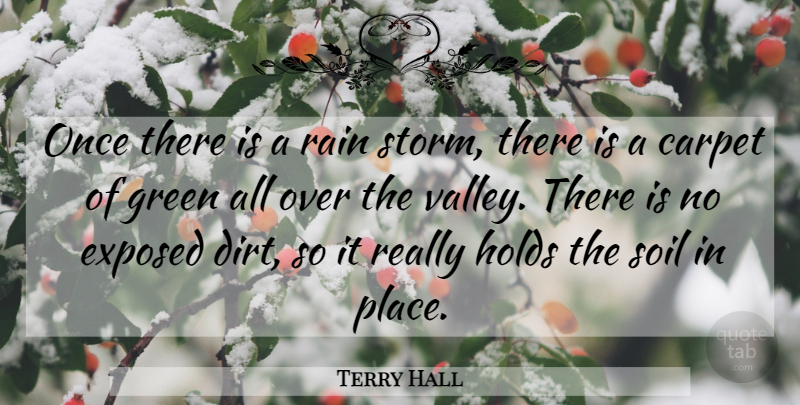 Terry Hall Quote About Carpet, Exposed, Green, Holds, Rain: Once There Is A Rain...