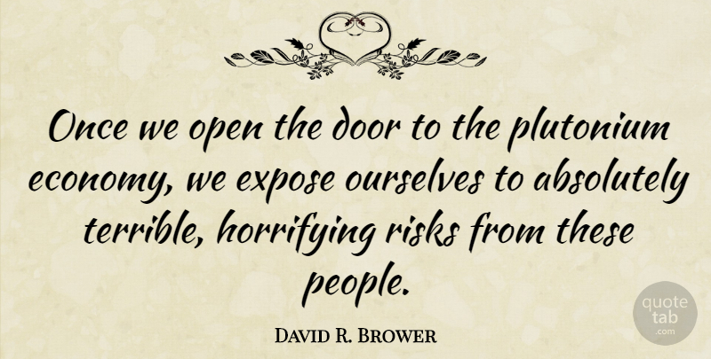David R. Brower Quote About Doors, People, Risk: Once We Open The Door...