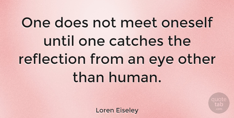Loren Eiseley Quote About Eye, Reflection, Animal: One Does Not Meet Oneself...