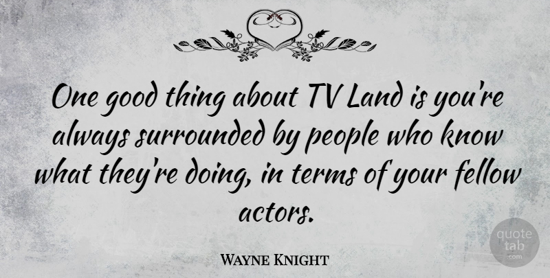 Wayne Knight Quote About Land, People, Actors: One Good Thing About Tv...