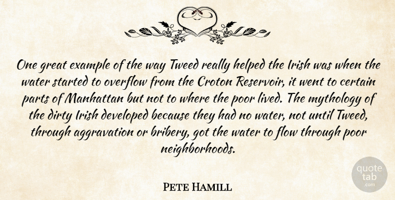 Pete Hamill Quote About Certain, Developed, Dirty, Example, Great: One Great Example Of The...