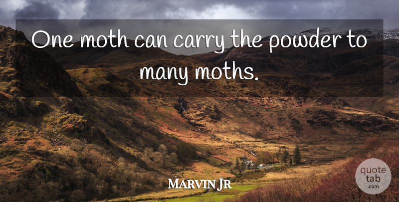 Marvin Jr Quote About Carry, Moth, Powder: One Moth Can Carry The...