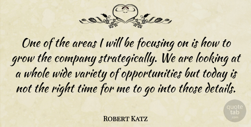 Robert Katz Quote About Areas, Company, Focusing, Grow, Looking: One Of The Areas I...