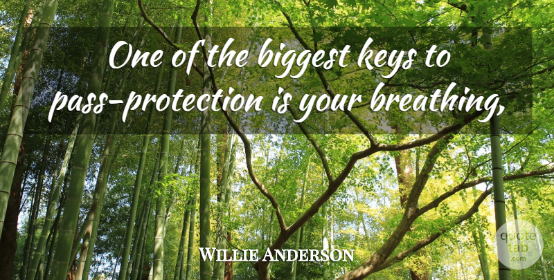 Willie Anderson Quote About Biggest, Keys: One Of The Biggest Keys...