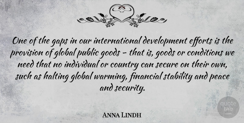 Anna Lindh Quote About Country, Effort, Needs: One Of The Gaps In...