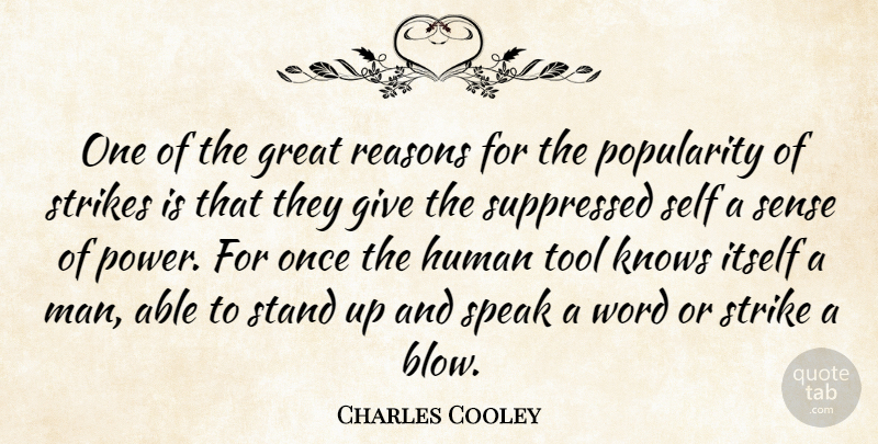 Charles Horton Cooley Quote About Blow, Men, Self: One Of The Great Reasons...
