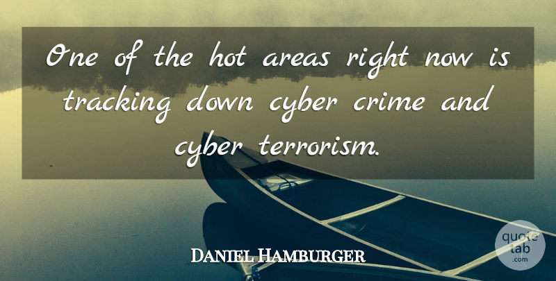 Daniel Hamburger Quote About Areas, Crime, Cyber, Hot, Tracking: One Of The Hot Areas...