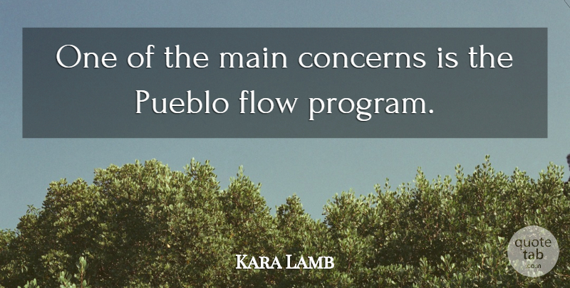 Kara Lamb Quote About Concerns, Flow, Main: One Of The Main Concerns...