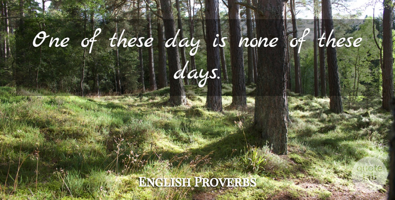 English Proverbs One Of These Day Is None Of These Days Quotetab