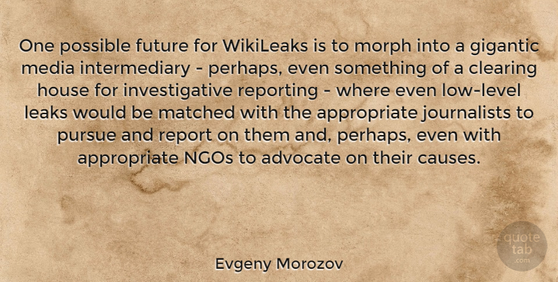 Evgeny Morozov Quote About Media, House, Would Be: One Possible Future For Wikileaks...