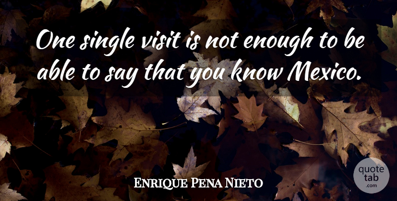 Enrique Pena Nieto Quote About Single, Visit: One Single Visit Is Not...