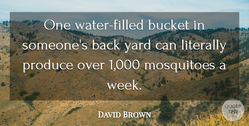 David Brown Quote About Bucket, Literally, Produce, Yard: One Water Filled Bucket In...