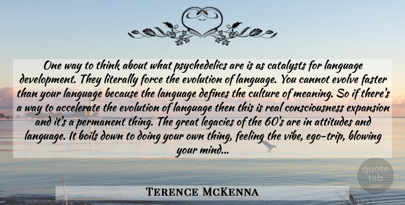 Terence McKenna Quote About Attitude, Real, Thinking: One Way To Think About...
