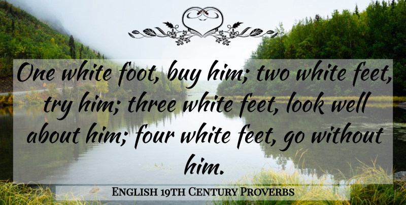 English 19th Century Proverbs Quote About Buy, Four, Proverbs, Three, White: One White Foot Buy Him...