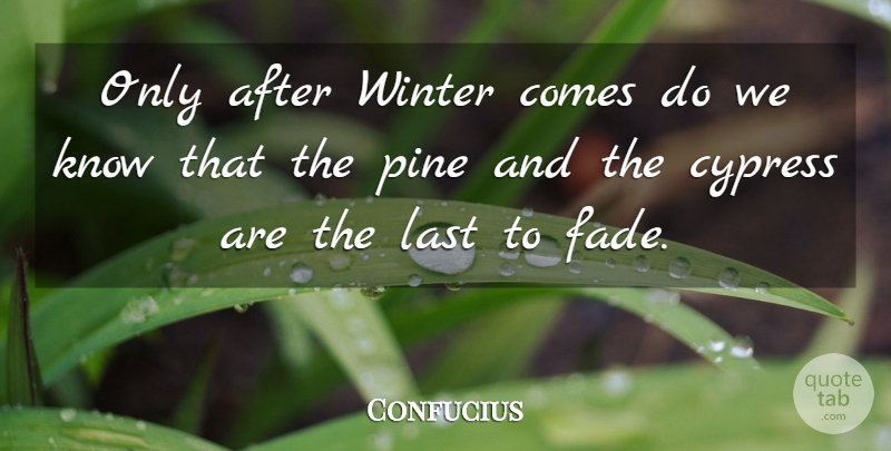 Confucius Quote About Winter, Lasts, Cypresses: Only After Winter Comes Do...