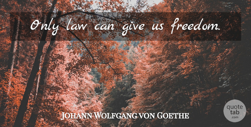Johann Wolfgang von Goethe Quote About Freedom, Law, Giving: Only Law Can Give Us...
