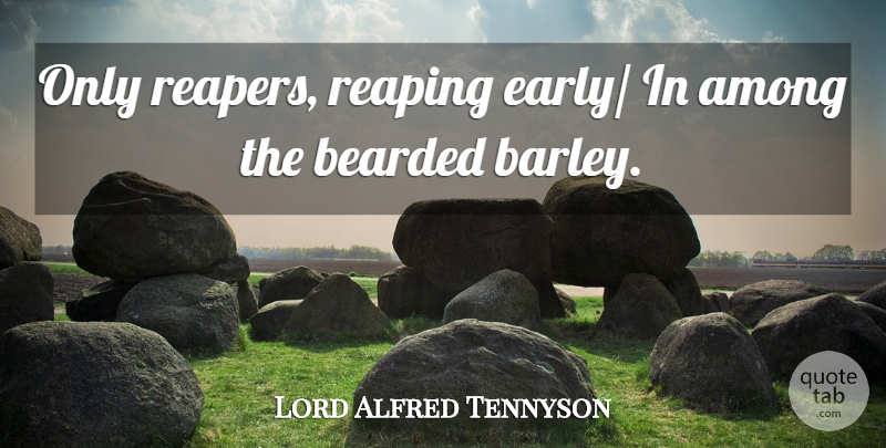 Lord Alfred Tennyson Quote About Among, Bearded, Reaping: Only Reapers Reaping Early In...
