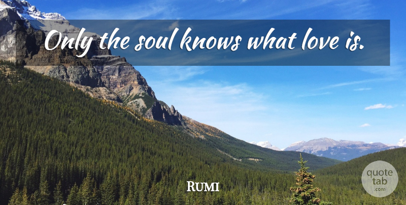 Rumi Quote About Love Is, Soul, Knows: Only The Soul Knows What...