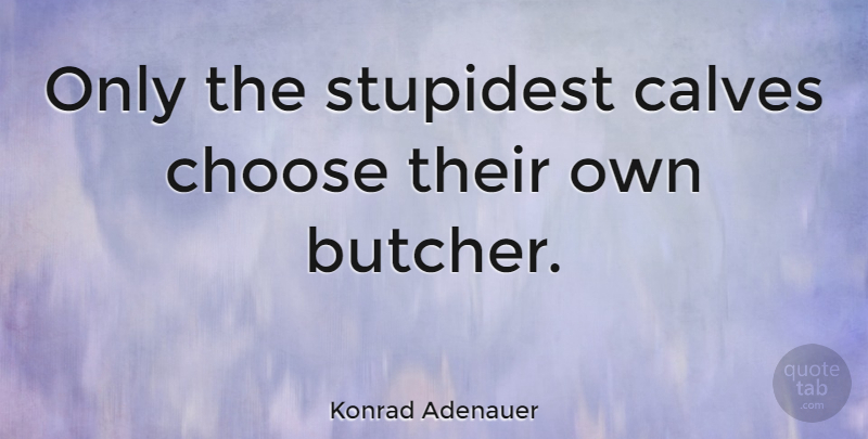 Konrad Adenauer Quote About Butchers, Calves, Stupidest: Only The Stupidest Calves Choose...