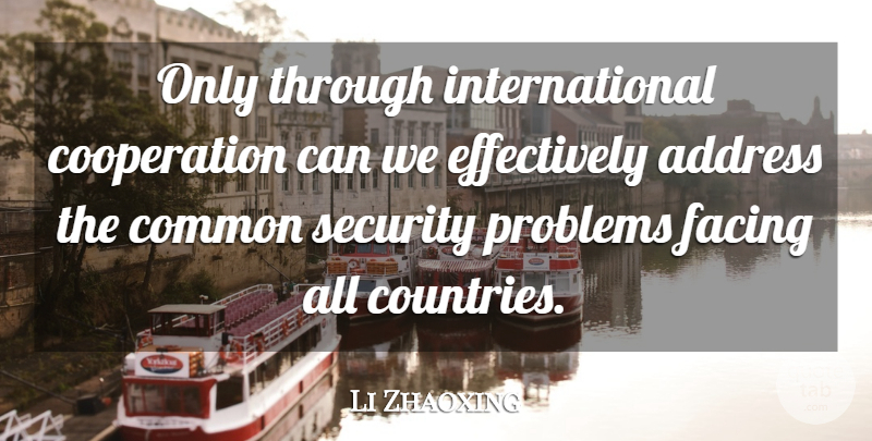 Li Zhaoxing Quote About Address, Common, Cooperation, Facing, Problems: Only Through International Cooperation Can...