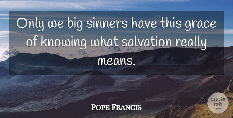 Pope Francis Quote About Mean, Knowing, Grace: Only We Big Sinners Have...
