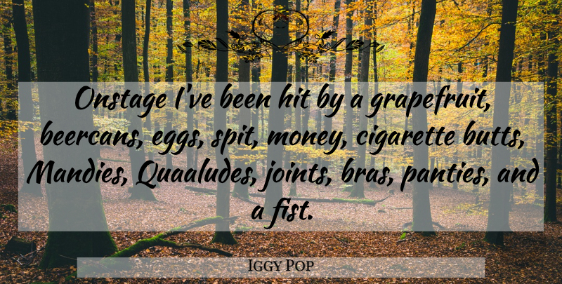 Iggy Pop Quote About Eggs, Fists, Joints: Onstage Ive Been Hit By...