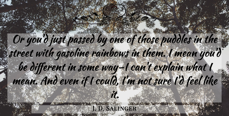 J. D. Salinger Quote About Mean, Rainbow, Puddles: Or Youd Just Passed By...