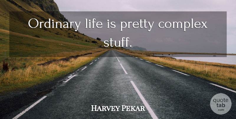 Harvey Pekar Quote About Writing, Stuff, Splendor: Ordinary Life Is Pretty Complex...