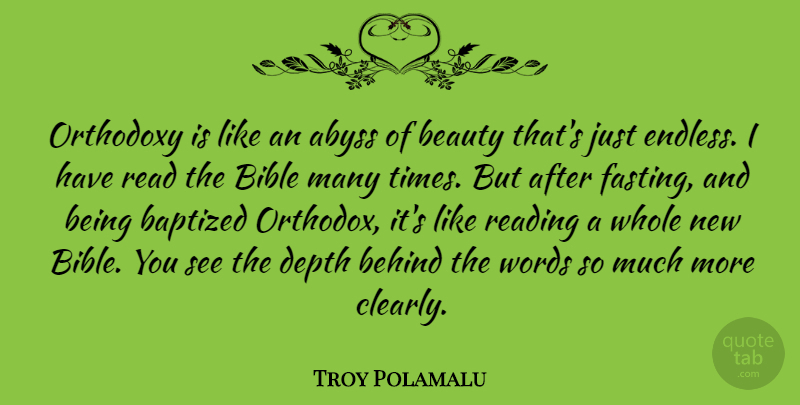 Troy Polamalu Quote About Abyss, Baptized, Beauty, Behind, Bible: Orthodoxy Is Like An Abyss...