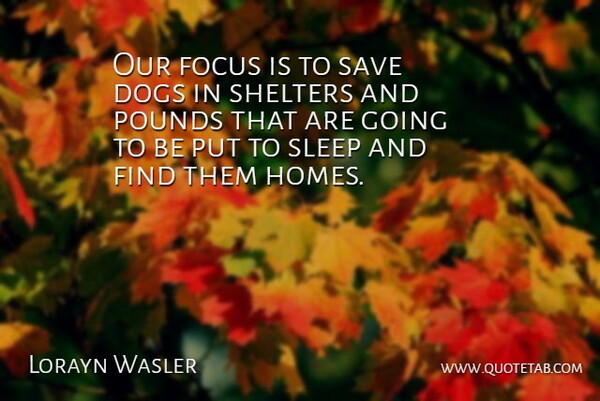 Lorayn Wasler Quote About Dogs, Focus, Pounds, Save, Sleep: Our Focus Is To Save...
