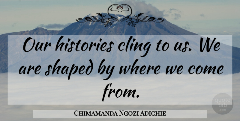 Chimamanda Ngozi Adichie Quote About Where We Come: Our Histories Cling To Us...