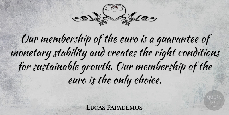 Lucas Papademos Quote About Choices, Growth, Guarantees: Our Membership Of The Euro...