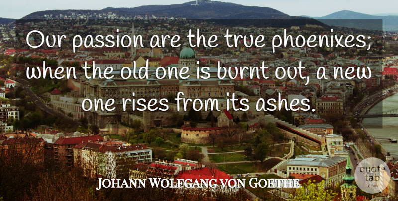 Johann Wolfgang von Goethe Quote About Burnt, Passion, Rises, True: Our Passion Are The True...