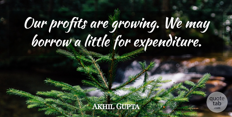 Akhil Gupta Quote About Borrow, Profits: Our Profits Are Growing We...