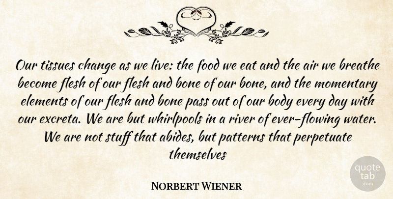 Norbert Wiener Quote About Rivers, Air, Water: Our Tissues Change As We...