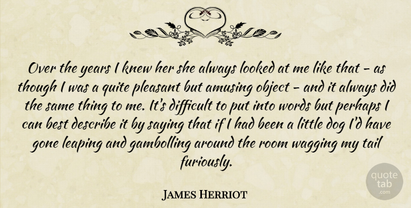 James Herriot Quote About Dog, Years, Tails: Over The Years I Knew...