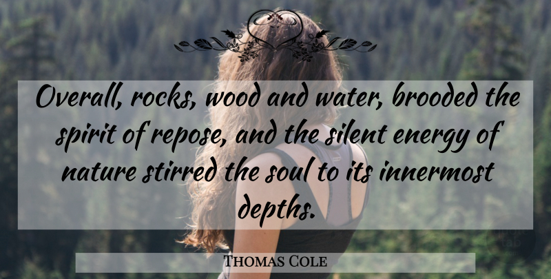 Thomas Cole Quote About Nature, Rocks, Water: Overall Rocks Wood And Water...