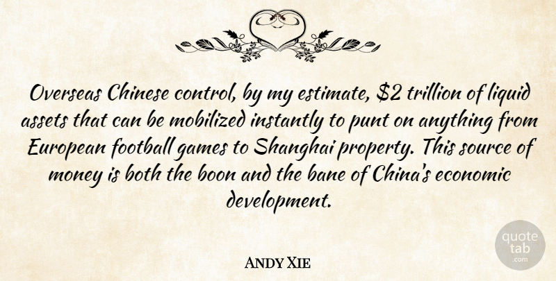 Andy Xie Quote About Assets, Boon, Both, Chinese, Economic: Overseas Chinese Control By My...