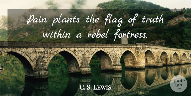C. S. Lewis Quote About Pain, Flags, Rebel: Pain Plants The Flag Of...