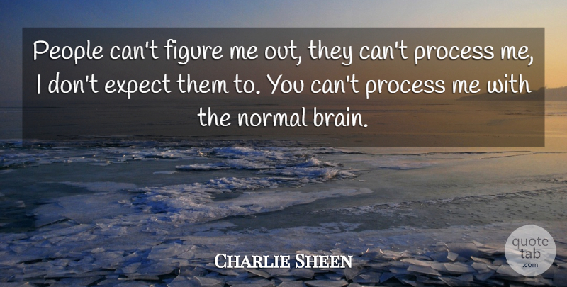 Charlie Sheen Quote About Winning, People, Brain: People Cant Figure Me Out...