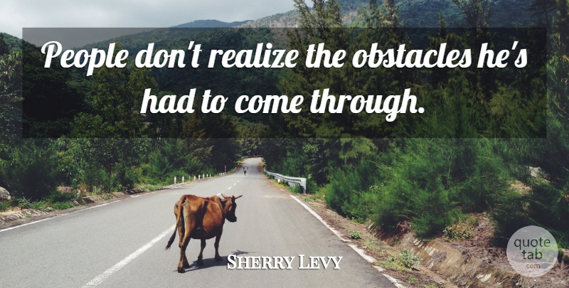 Sherry Levy Quote About Obstacles, People, Realize: People Dont Realize The Obstacles...