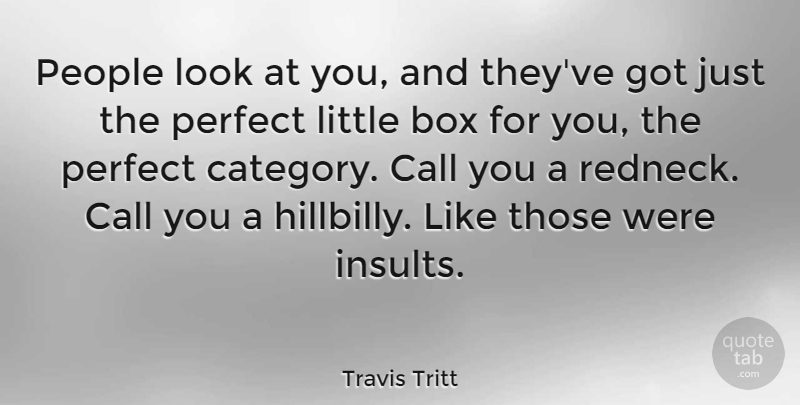 Travis Tritt Quote About Redneck, Perfect, People: People Look At You And...