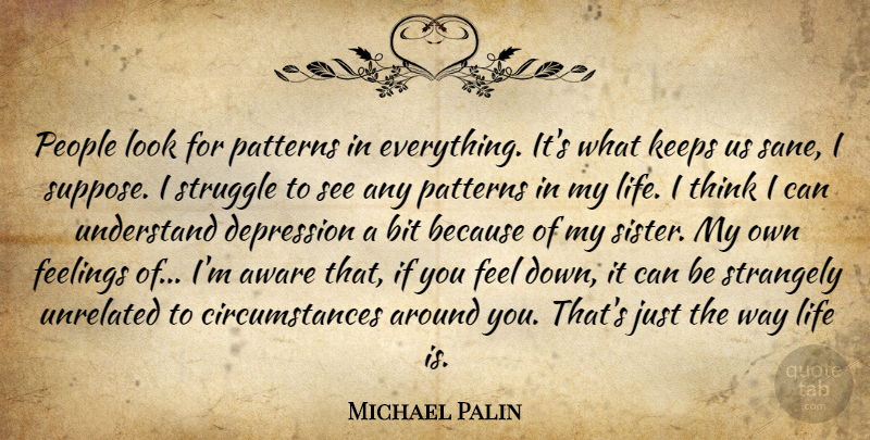 Michael Palin Quote About Struggle, Thinking, People: People Look For Patterns In...