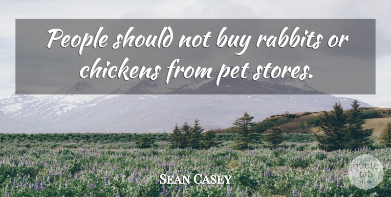 Sean Casey Quote About Buy, Chickens, People, Pet, Rabbits: People Should Not Buy Rabbits...
