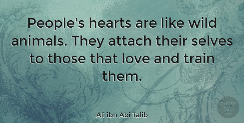 Ali ibn Abi Talib Quote About Heart, Animal, Self: Peoples Hearts Are Like Wild...