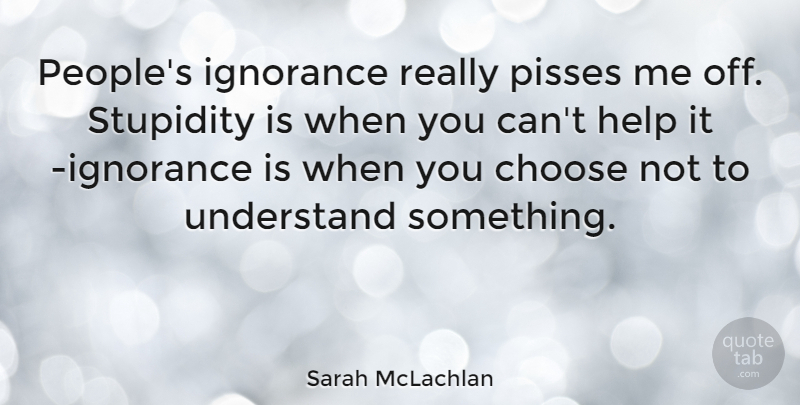 Sarah McLachlan Quote About Stupid, Ignorance, People: Peoples Ignorance Really Pisses Me...